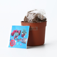 MeiKE幼儿手工DIY植物生长材料包M1064