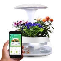 宜植爱藏韵款花盆浇水鱼植机塑料室内水培植物花盆