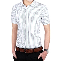 香港至尊洋服夏季新款修身休闲男式衬衫 商务青年条纹短袖衬衣