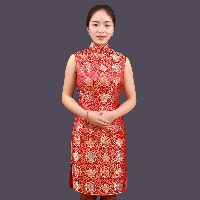 jfelvls无袖礼服新款女装修身打底连衣裙刺绣复古中旗袍裙