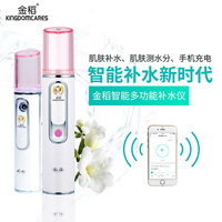 金稻便携喷雾器冷喷美容蒸脸智能纳米补水仪(带充电宝)