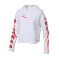 阿迪休闲女装阿迪达斯 SWEAT HD 套头衫 DZ7600