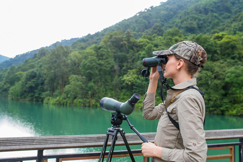 博冠惊鸿20-60x85 ed单筒观鸟望远镜 ed观鸟镜 可接单反相机进行拍照