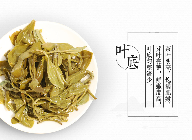 颐乡缘2017新茶小叶种碧螺春绿茶 有机新茶叶250克